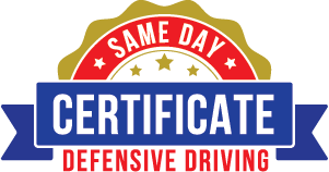 Same Day Certificate logo